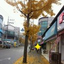 보한당한의원 이미지