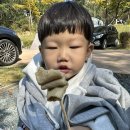 입화산 참살이 숲길(제2코스) | 입화산 참살이숲야영장 두아이와 가을캠핑 치킨배달 후기