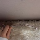 안경플러스 이미지