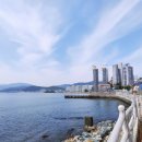 용호 Sea-Side 관광지 이미지