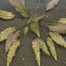 우리누리통상 이미지