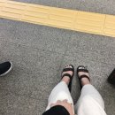 원화건강원 | 2018.05 다낭 & 호이안