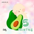 B24-1 | B24. 임신 15주-20주 | 2차 기형아 검사, 속초태교여행, 배뭉침, 출혈 이슈