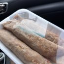 내토 | 충북 제천 중앙시장 &amp; 내토시장 구경 후기(주차장, 먹거리)
