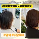 범골역 | 의정부 호원동 회룡역 범골역 근처 미용실염색 후기 : 도담헤어