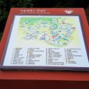 서울 초안산수국동산 및 경희대학교 서울캠퍼스 산책 이미지