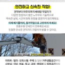 맥금동까페 이미지