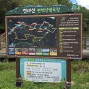 아이와 등산하기 좋은 울산 천마산 편백산림욕장