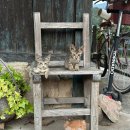 남해촌캉스 이미지