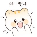 골든햄스터 분양 탬펫 충남아산점 이미지