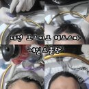 대전롯데 헤드 | 대전 헤드스파 '네일드블랑 대전탄방점' 코즈미코 헤드스파 후기