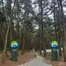 송이도친환경가족펜션 | 태안 애견동반펜션 도그데이 내돈내산 독채 풀빌라 가족여행 후기