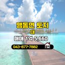 충북혁신도시아모리움부동산공인중개사사무 | 충북혁신도시에이스공인중개사사무소 맹동면 대 매매 1억 5,660