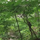 사슴목장 이미지