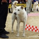 산내초등학교 이미지