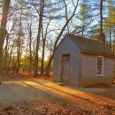 소로 소로 이미지