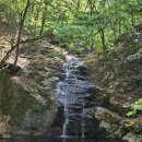계룡산갑사황금산장 | 엘도라도의 산행기, 계룡산 산행(충남공주), 계룡산 철쭉산행, 갑사 오리길은 황금빛 황매화로 물들었다.