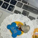 멍스타일 | 울산강아지인식표 강아지목걸이핸드메이드 맞춤제작 가능한곳 멍스타일