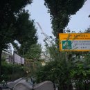 성삼공원 이미지