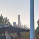 강이랑 아지랑 이미지