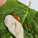 코조 | 거제 코끼리조개 맛집 청학횟집 성포항맛집 이죠