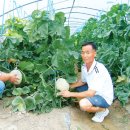 하늘내린농장 이미지