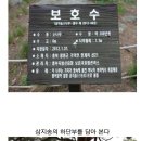 상야1리 이미지