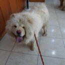 신월동물병원 이미지