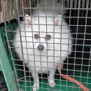 사림동225 이미지