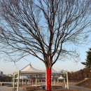뚝방
