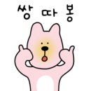 워시테리아 가양점 이미지