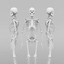 몰리짐 장기점 이미지