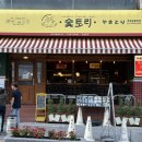[용인시 수지구] 수지구청이자카야 맛있는 야끼토리와 얼맥을 즐길 수 있는 "숯토리 수지구청점" 방문후기!