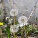 중림한의원 이미지