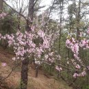 효평동 소공원 이미지