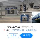 타라모터스 이미지