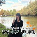 개구리생태공원 | 담양 개구리생태공원 2025 단풍시기 언제쯤? 현장 후기로 확인