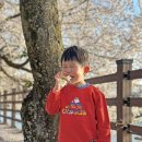 산양교 - 화천군 | 산양교