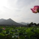 숲쟁이꽃동산 이미지