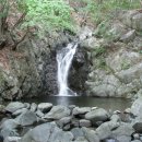 곰바우농장 이미지