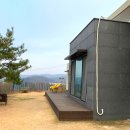 더블스테이 또또멍5호 네이버블로그