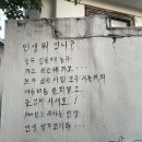 충효로(동) | 가을은 천고마비의 계절