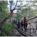 지리산 천왕봉 ~ 세석, 거림 단풍길^^ 이미지