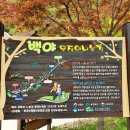 백야자연휴양림 오토캠핑장 이미지