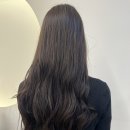 미-살롱 이미지