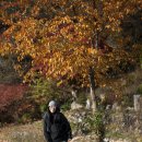 수산리-1 이미지