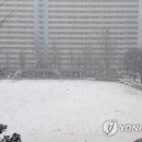 눈