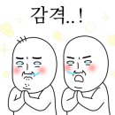 진지정스