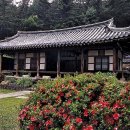 (주)서당 티스토리