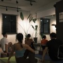 씨드요가 | 요가씨드 한남동 웰니스 콜라보 원데이 클래스 후기